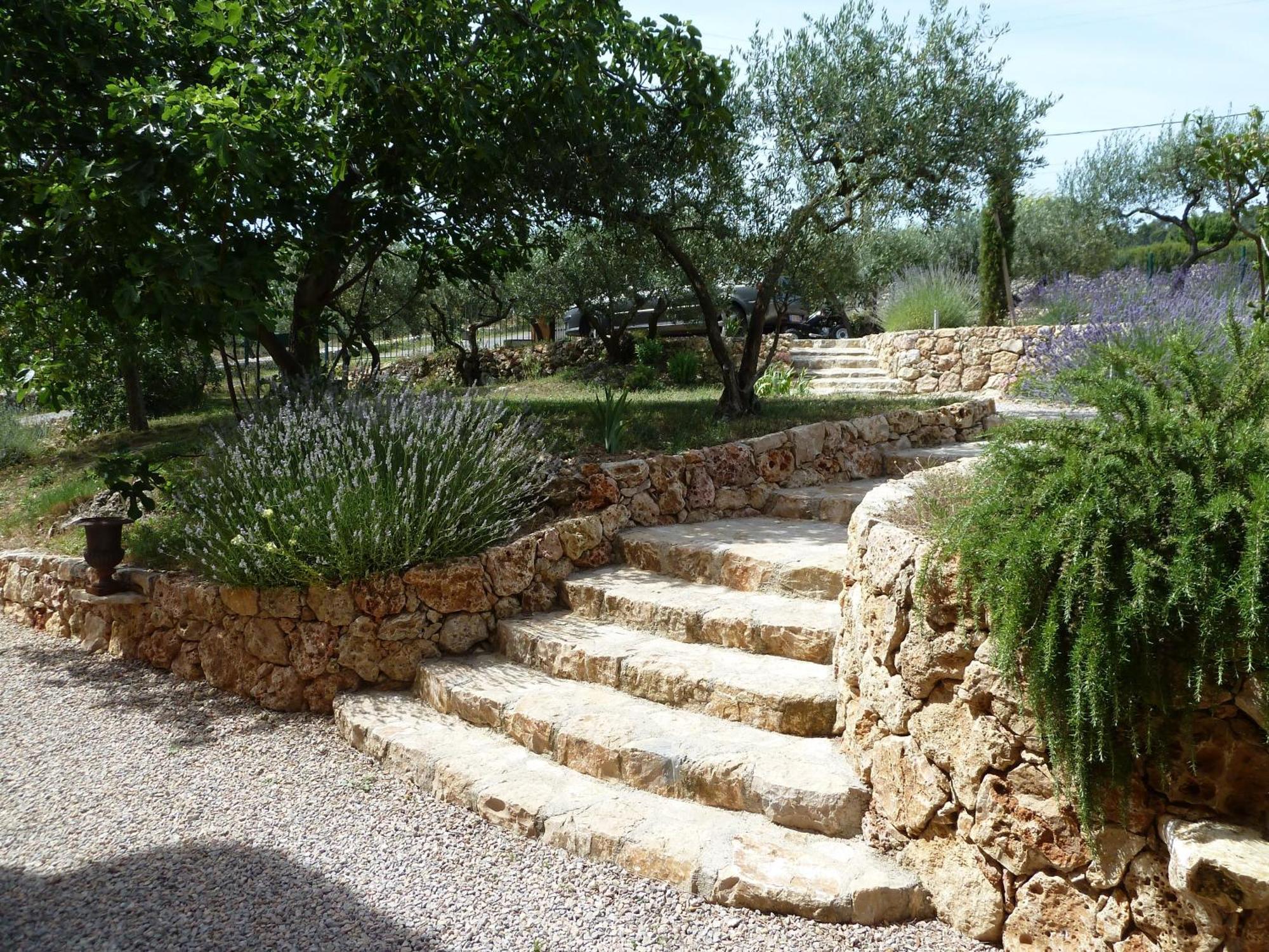 Mas De L'Olivette Bed & Breakfast Cotignac Dış mekan fotoğraf